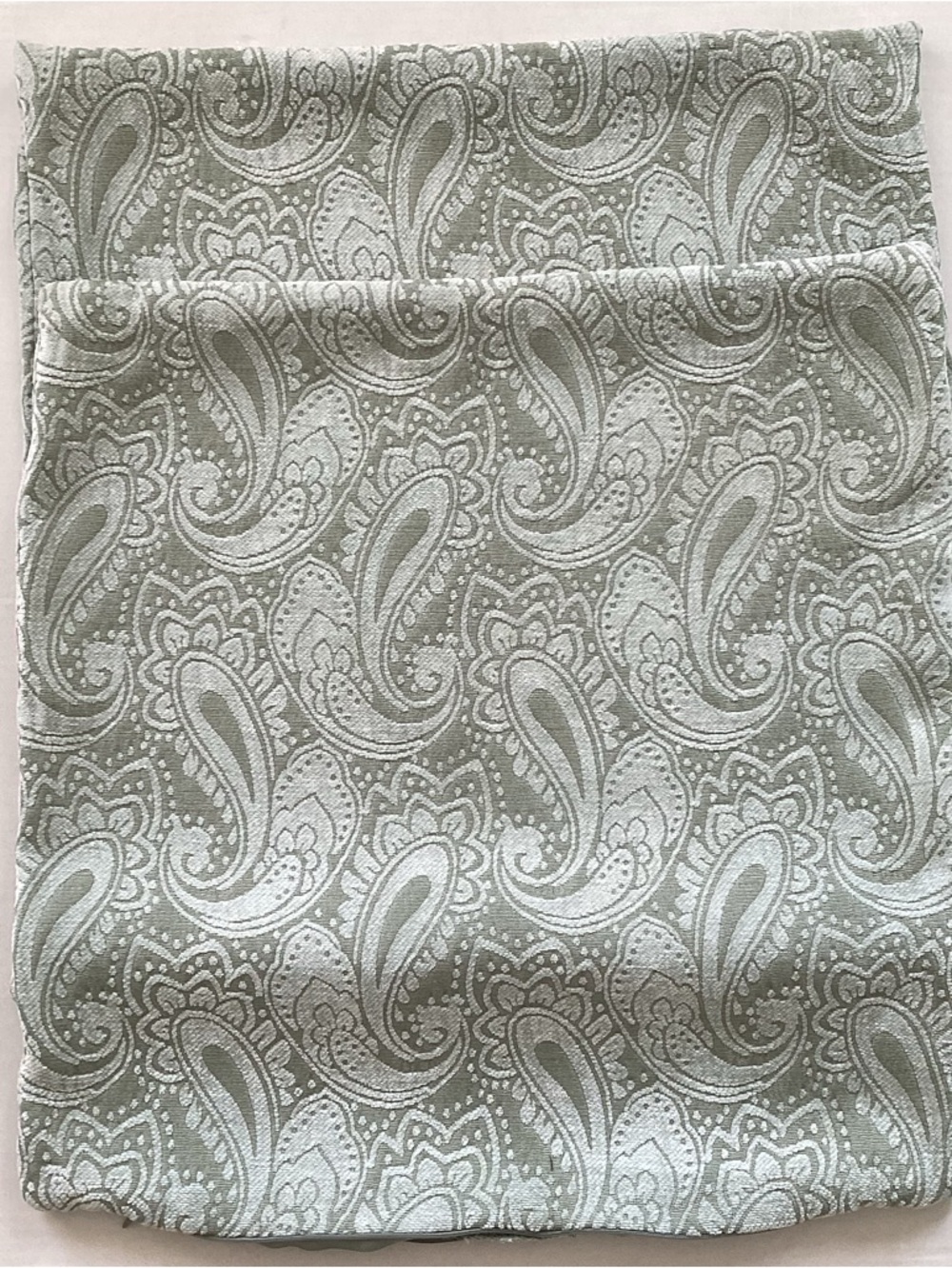 Paisley Velvet Textured Pillow Covers Set of Two